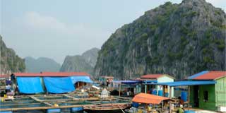 Halong Bay Fishing Villages