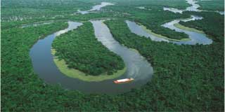 Amazon River