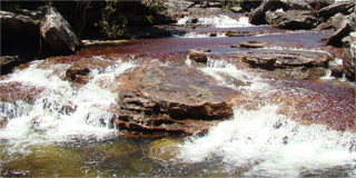 Cano Cristales Image 3